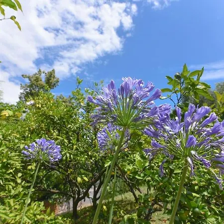 Jelena, Opatija - Апартаменты *