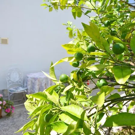 Jelena, Opatija - لوفغان